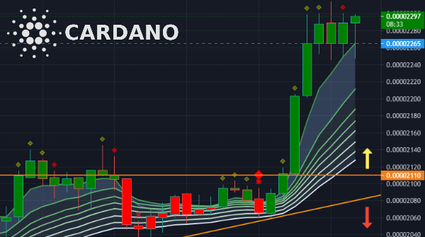 BoiiiHanny's tweet photo. Keeps perfectly🆙
#ADA #cryptocurrency #Bitcoin #BTC https://t.co/nNmNW6RITu