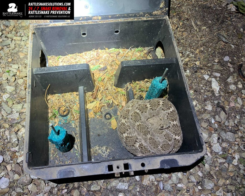 Bryan D. Hughes tweet media