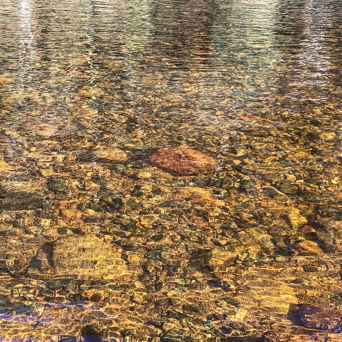 sophiepierce's tweet photo. Such beauty in and by the River Dart today. #Spitchwick #Spring #Hope #Devon #Dartmoor https://t.co/NVR4Q9Eb9k