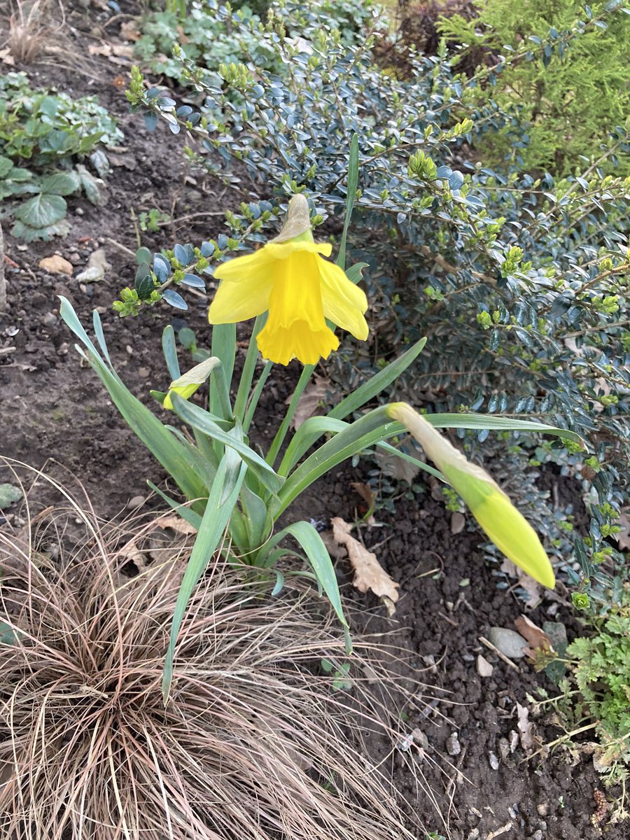 kit2kat's tweet photo. No walk today...on zoom literally 10hrs but we did pop out for this gloriousness. Getting out as a family everydayβs been sooo life giving. 5 miles & 3 days left π up to Β£630 - every penny counts @childrensociety #50milesinFeb #ForSian https://t.co/D61i5d6zR7 https://t.co/E3ZECQISHX