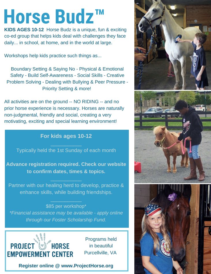 Project Horse tweet media