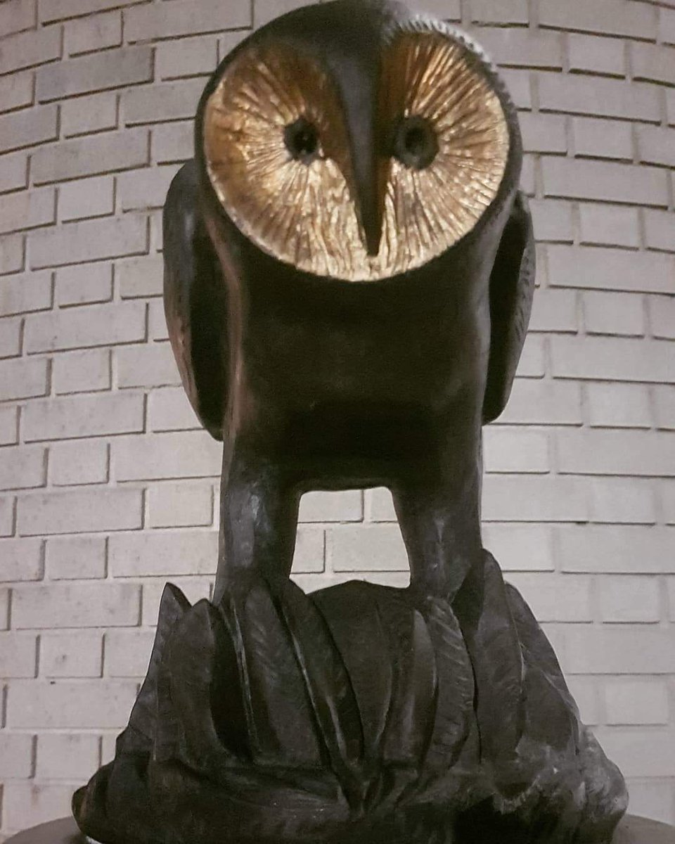 This day 3 Yrs ago I posted this photo of 'Owl of Wisdom' on campus in WIT Representing my journey #backtoeducation. Today I've been offered a full time role in my new career in Cork! Its never too late to start over again! What an unbelievable timeline coincidence! #thanksmum 💟