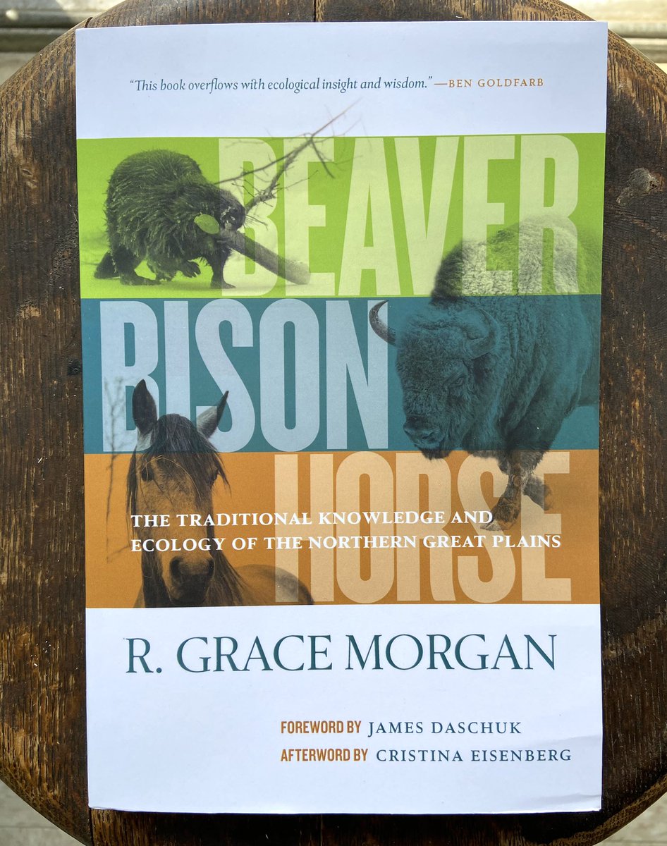 LandLibrary's tweet photo. FIVE GREAT BOOKS on indigenous ways of knowing, including the Land Library’s latest arrival: Beaver, Bison, Horse: The Traditional Knowledge and Ecology of the Northern Great Plains. 🌎🌍🌏 #LandLibrary. https://t.co/bZNbyJL8CM