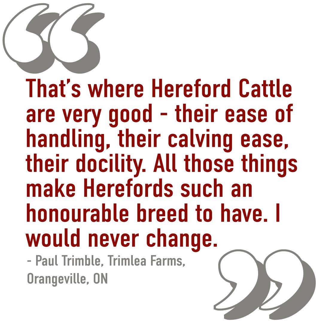 CAN_Hereford's tweet photo. https://t.co/z29y26XaF2