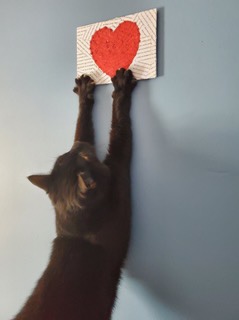 There's still time to help! conta.cc/3urWvWt