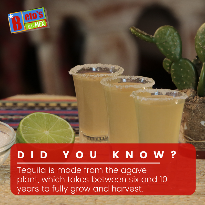 betosaltmex's tweet image. 🍸 Tequila is so regulated that it can only be distilled from a specific type of agave (blue Weber) in only five Mexican states. 

#BetosAltMex #Tequila #LatinDrinks #latinLiquors
