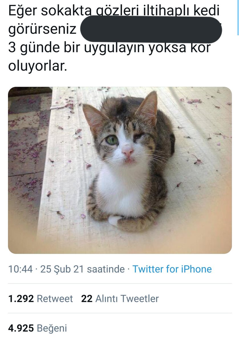 Market rafına ilaç koymakla Twitter'da bir preparatı muayene edilmeyen bir kediye önermek aynı vurdumduymazlık. İlginç olan, iki kişiden birinin tıbbi etik bilgisi olması...
Sokakta gözlerinde sorun olduğunu düşündüğünüz bir kedi görürseniz bir veteriner hekime danışınız.