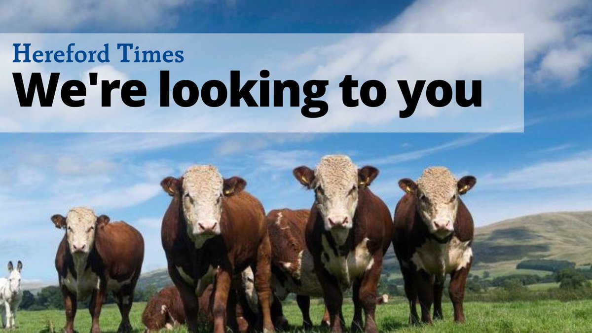 We're looking to you to help us give credit where it's due... to Herefordshire's farmers. Tell us if you or someone you know is doing something to be proud of (RTs much appreciated): bit.ly/HTfoodandfarmi… #HTfoodandfarmingawards