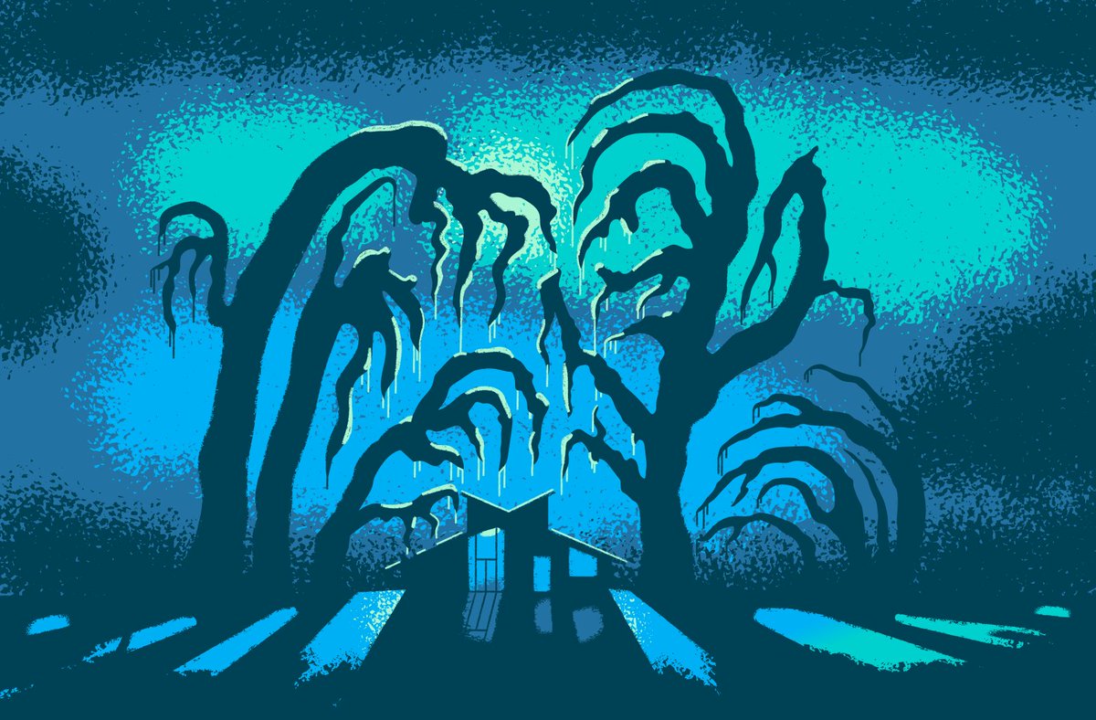 Wasn't able to post last Friday, power was out for a week because we had the worse ice storm in two decades—1.25" of ice 🥶 We couldn't do much but I was able to take this picture outside.