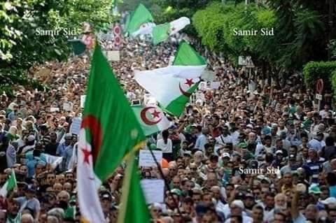 MBerberry's tweet photo. #نهار_الجمعة_كاين_مسيرة باذن الله 

#دولة_مدنية✌🏼✌🏼💪🏽🇩🇿🇩🇿🇩🇿 https://t.co/3ipI7rubGb