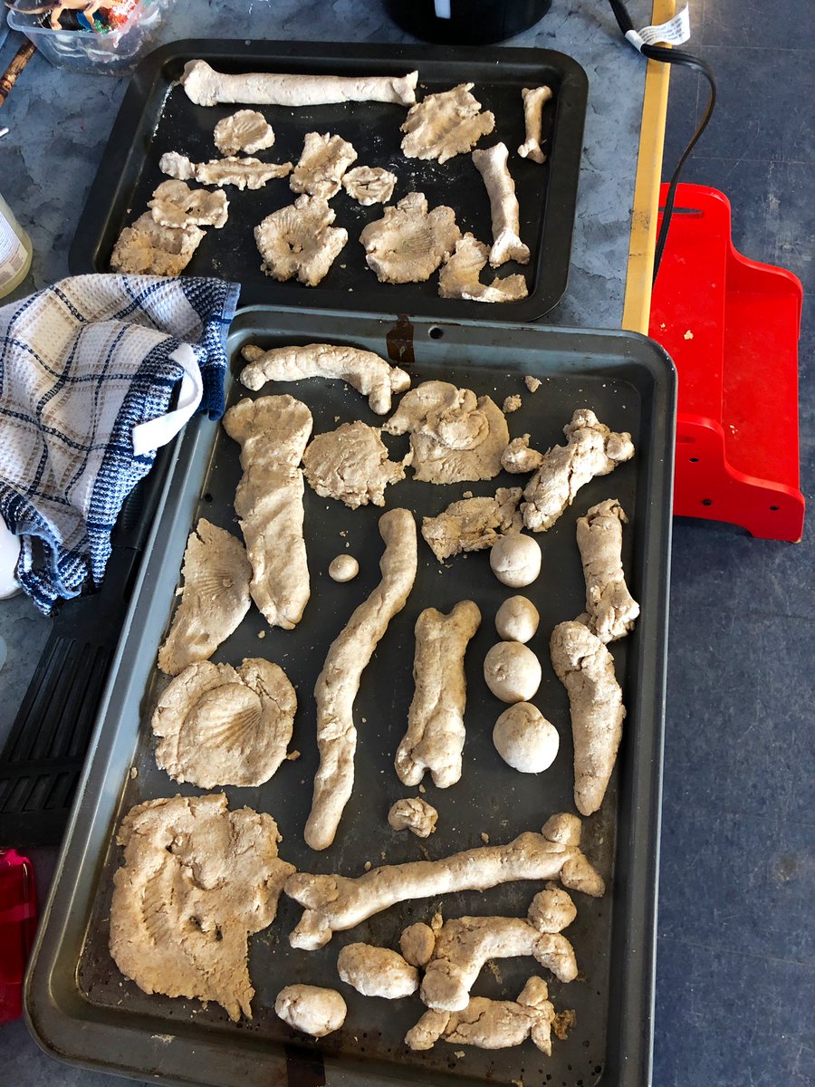 We kicked off our dinosaur inquiry by thinking about what we know &amp; wonder about dinosaurs, and then made fossils! #rvsed <a href="/ibpyp/">IB PYP</a>