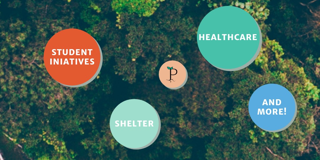 PandoMap's tweet photo. These are just some of the categories you can search on Pando! 🌱 Which of these categories are the most important to you? 

Visit https://t.co/aXCsmumxho!
#pando #pandomap #resourcefull #groundbreakers https://t.co/kg0q4d1QYR
