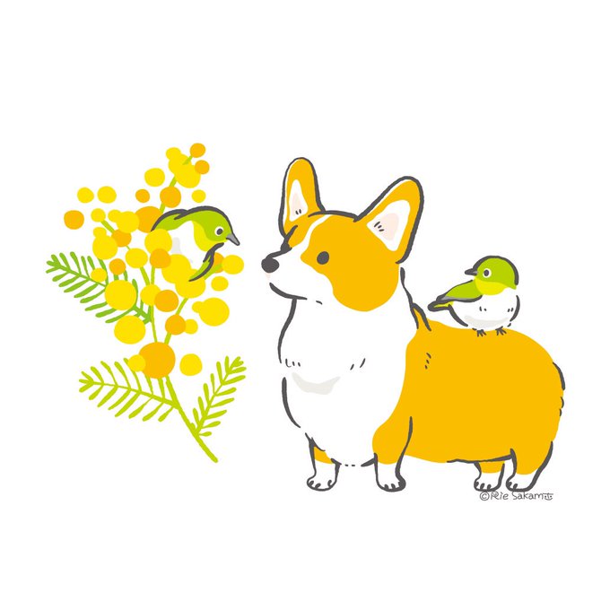 「花 柴犬」のTwitter画像/イラスト(古い順)