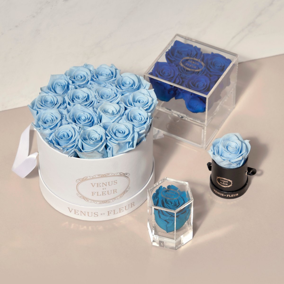 VenusetFleur's tweet photo. March Birthstone: serene Aquamarine💙 Tag a March birthday you love below. Tap the link for more blue hues: https://t.co/2JnaCh0GZ6
#venusetfleur #eternityroses #brithstone #aquamarine #marchbirthday https://t.co/BTh26CHNdg