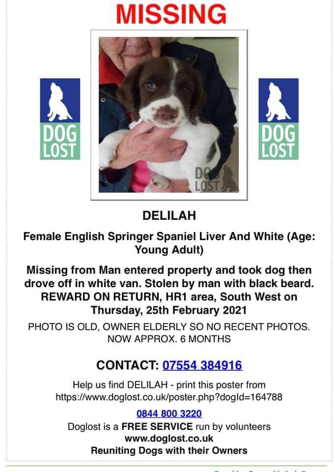 KarenFi51820768's tweet photo. #Stolen #Marden #Hertfordshire taken from elderly owner Man entered property took the dog and drove off in a van https://t.co/PkPYu7Z4Xk #RT https://t.co/XgcOyiL3ph