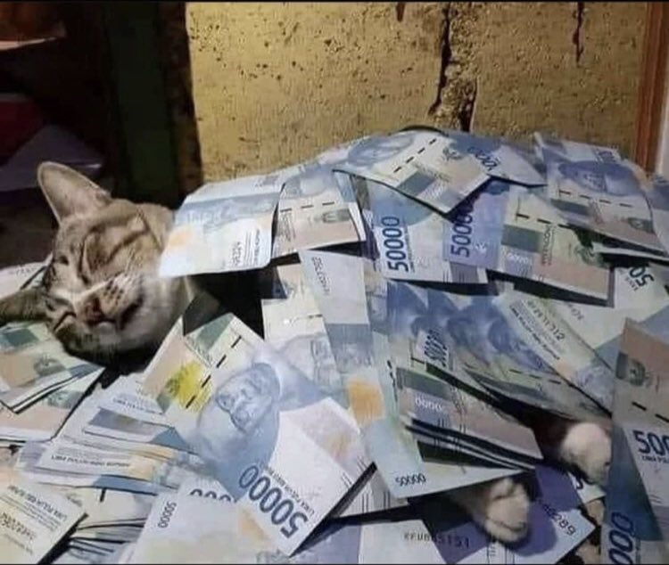 HumorReceh's tweet photo. kucing selalu jadi majikan, 

Relate no debat. https://t.co/M1P91FWvkc