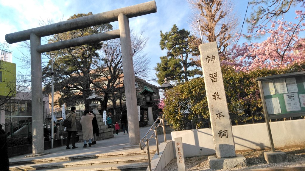 MaybeLookOnly's tweet photo. ⛩️念願の桜神宮でした.｡.:*🌸
圧巻の河津桜に息を呑みました。
#桜神宮 #桜 #河津桜 #御朱印 https://t.co/dQDzZYcJBK