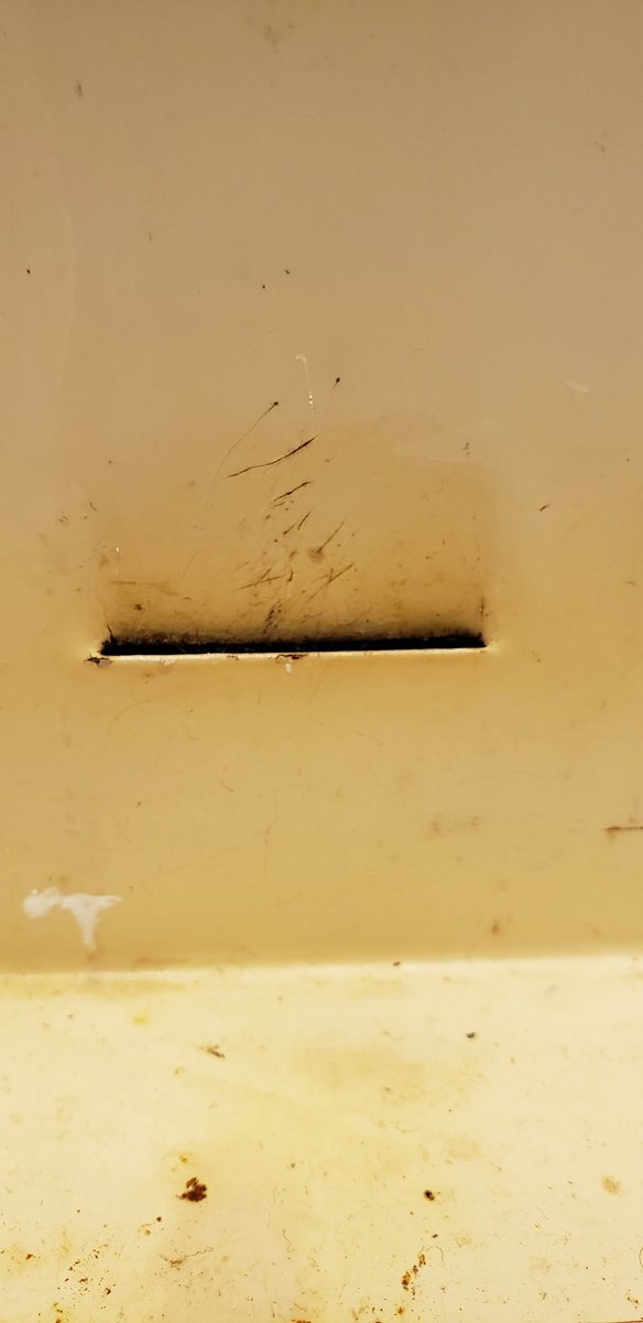 ParsecPanda's tweet image. Do you live in an old ass house?

Chances are you've got one of these bad boys in your medicine cabinet, and that the wall behind it is full of old razor blades