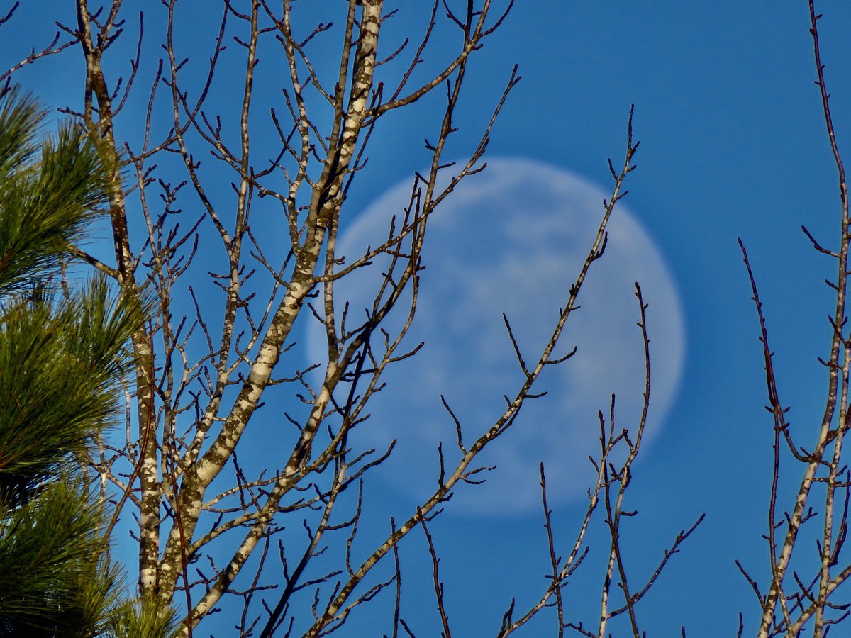 Almost there🙋‍♀️