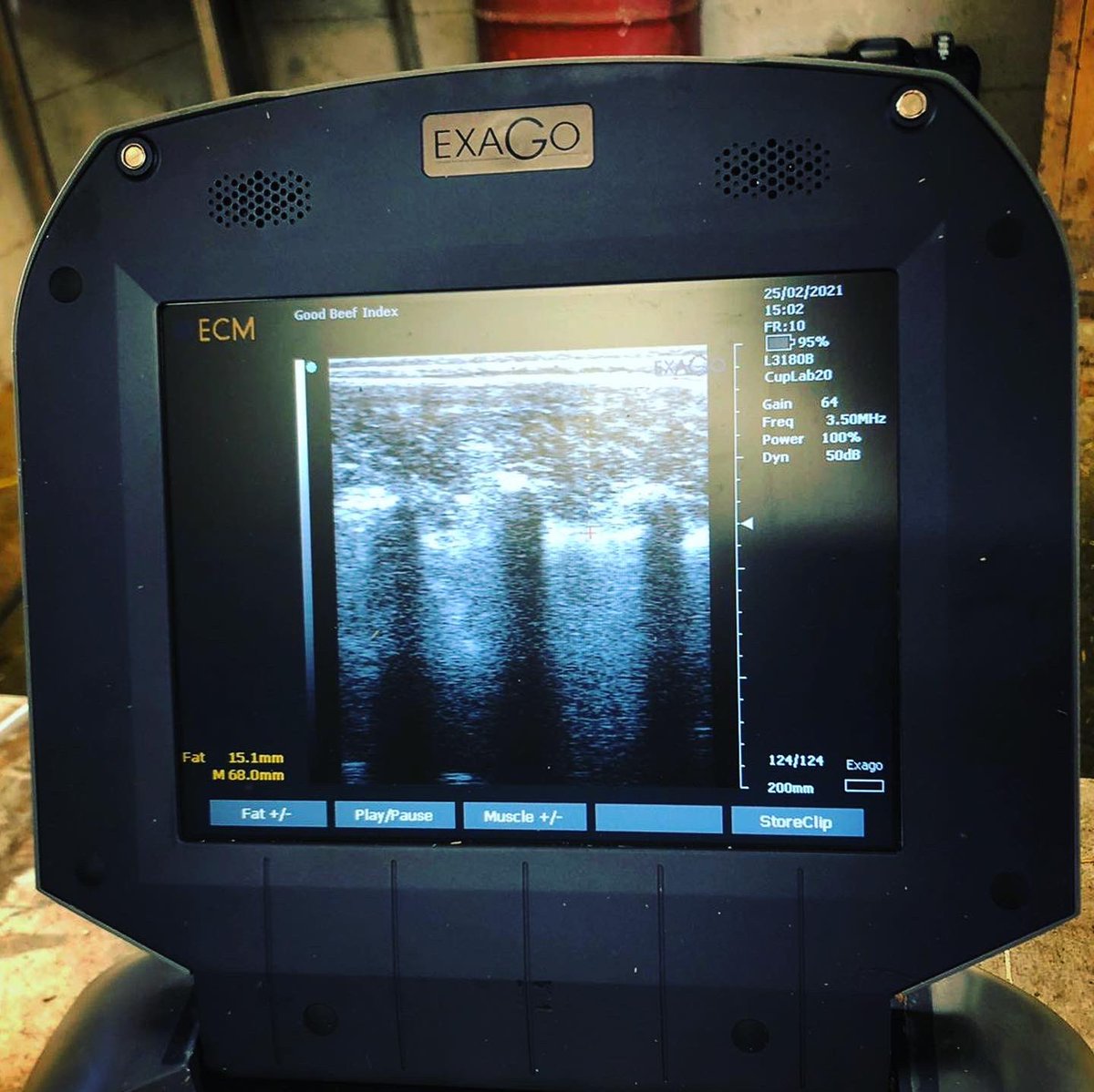 So important to be able to scan our animal’s fat levels, they are a reliable predictor of eating quality and #wellbeing. 
This data will be heading off to the US for analysis. #beeftechnology #beefscans #exago #cuplabs #productivity #farming #goodbeefisgoodforyou