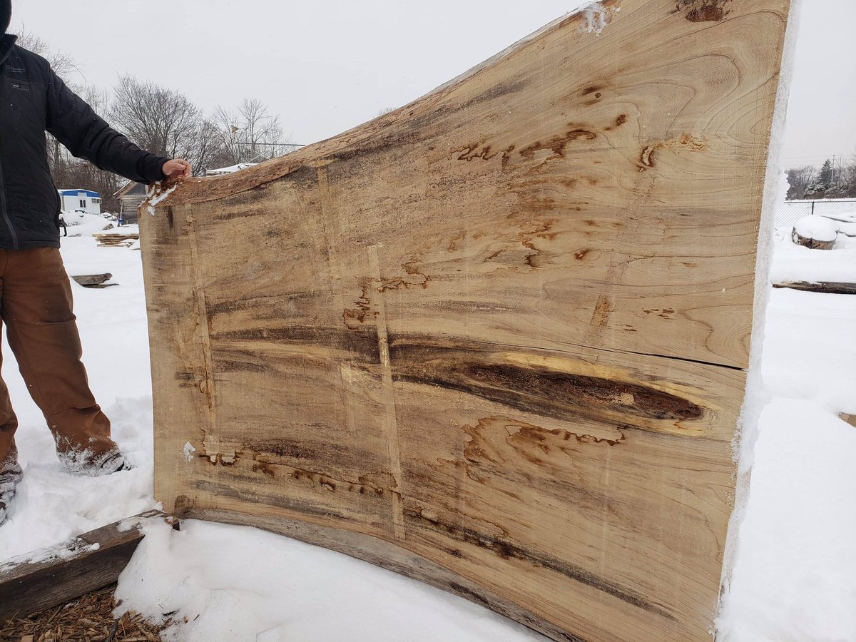What would you do with this??? #slab #Wood #woodworking #elm #reuse #woodworker #the6ix #diningtable #coffeetable #create