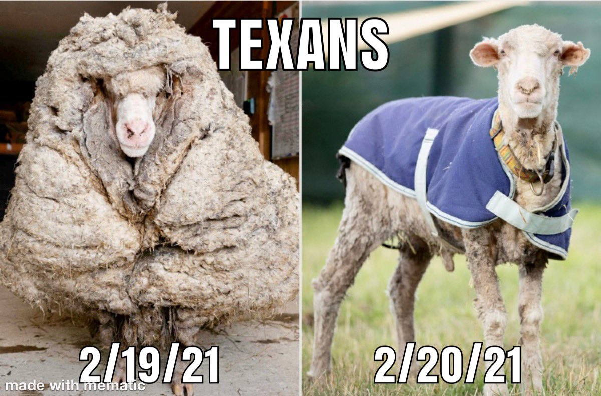 jaredalevy's tweet photo. The struggle is real here... #texas #texans #TexasWeather #SnowStorm2021 #snowmageddon2021 https://t.co/WdpTbhgDUO