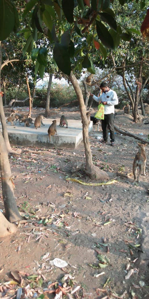 ArtofAid2's tweet photo. Feeding the Stray dogs and cows by Art of Aid Members Bhubaneswar, India https://t.co/LggCC94a8q