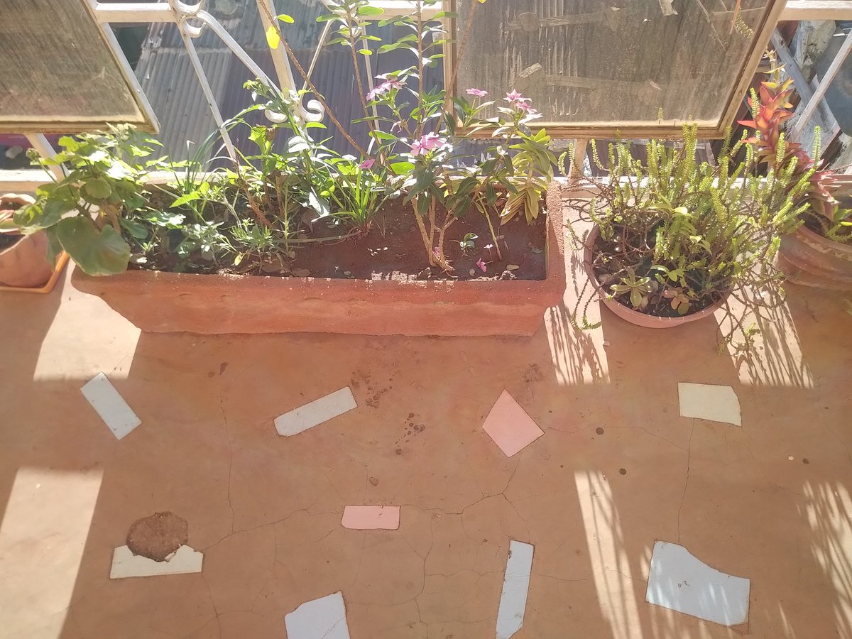 Le silence n'est pas seulement la non présence du bruit mais surtout l'attention sans intention....