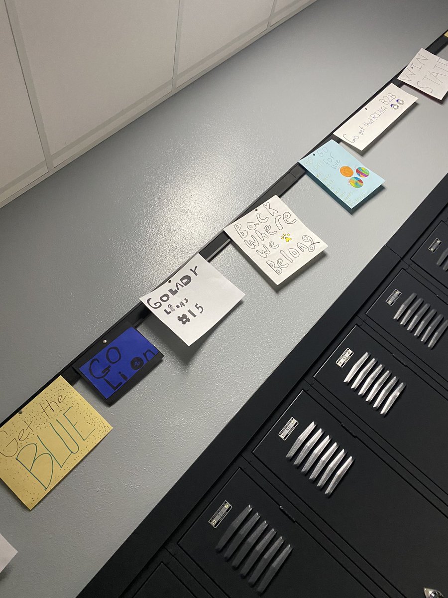 Lady Lions tweet media