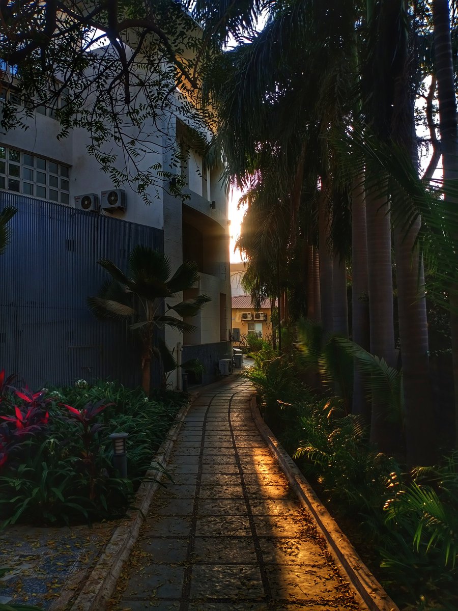 karnavati_uni's tweet photo. #KUdiaries 》Some vibrant photographs clicked on #KarnavatiUniversity campus reflecting the sheer grandeur of the infrastructure. The photos were clicked by Sanket Solanki, a second semester #USLM student. He uses his camera to capture and document wonderful moments in life. https://t.co/nuJ6bwwNcq