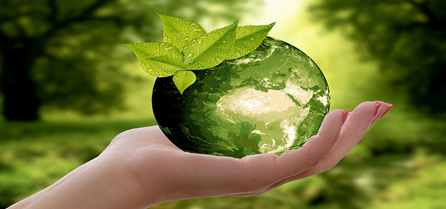 _florayfauna_'s tweet photo. ⌕:⸙"Los amantes del medio ambiente defienden que la naturaleza no es un sitio por el que pasar de visita, sino un hogar que todos deberíamos amar, respetar y valorar más. Si para ti la naturaleza también es sinónimo de libertad"

#laudatosi #Amemoslanaturaleza
🪴: |José Castro| https://t.co/GOUy1vLbTY