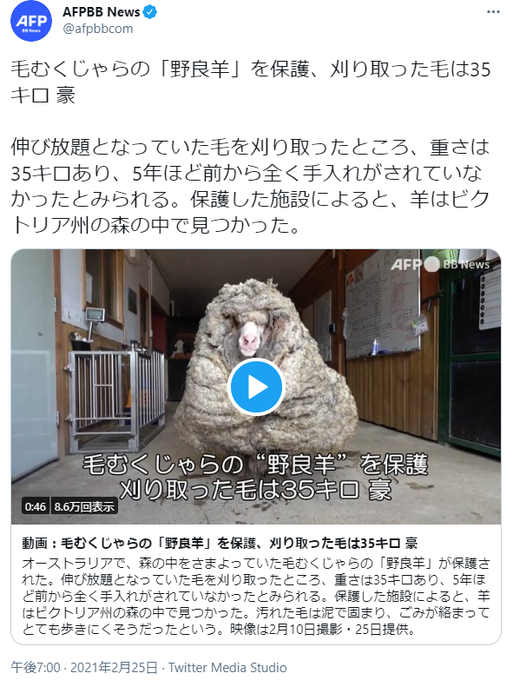 おかしなガムボールのtwitterイラスト検索結果 おかしなガムボールのtwitterイラスト検索結果