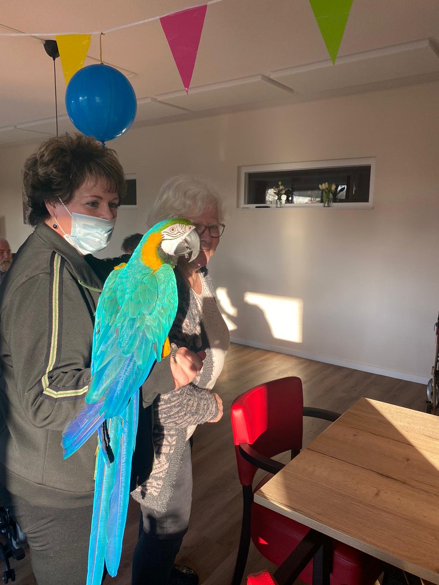 Wat een prachtig dier! Collega Karen nam haar papagaai mee; de bewoners waren blij verrast!