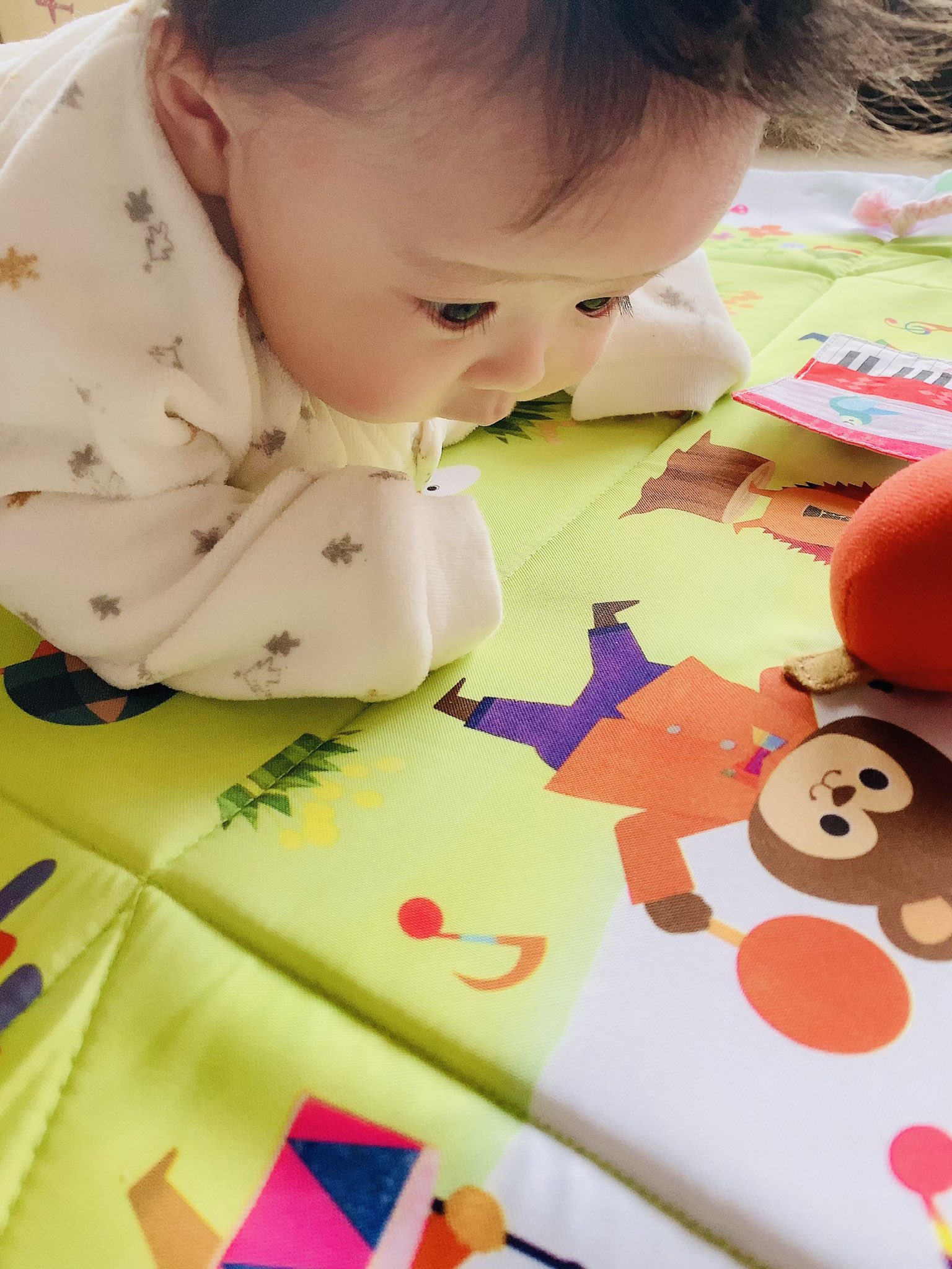 こどもちゃれんじベビー Twitter Search Twitter