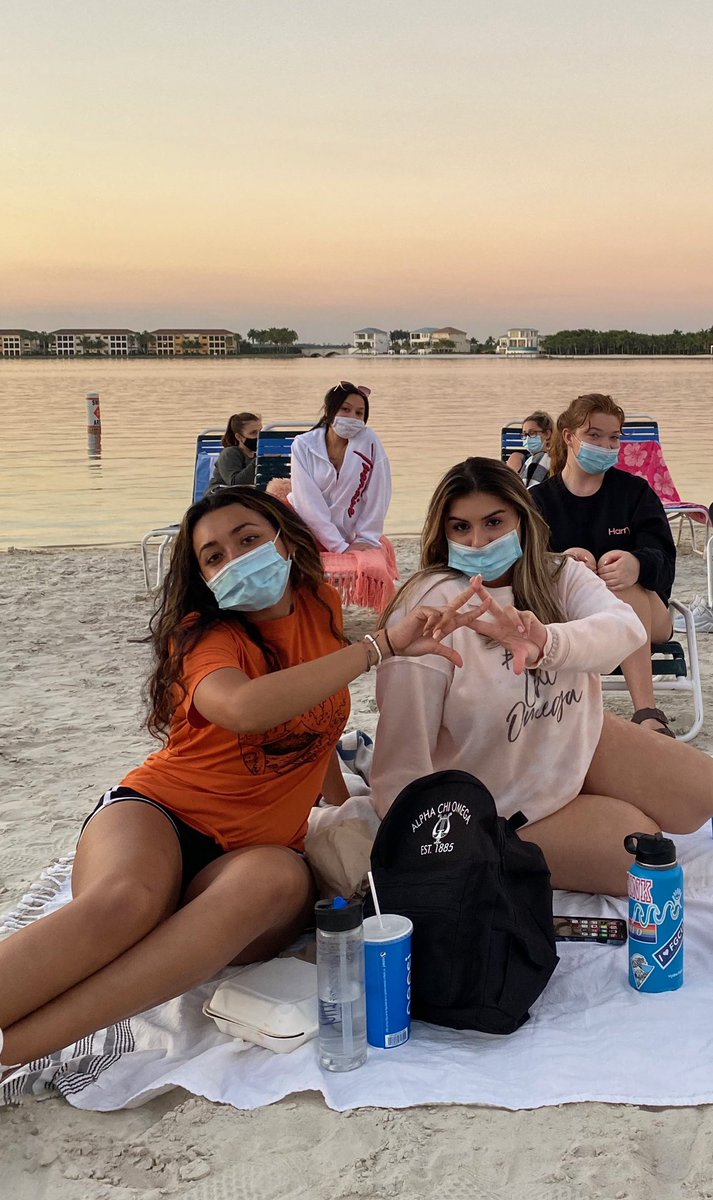 FGCU Alpha Chi Omega tweet media
