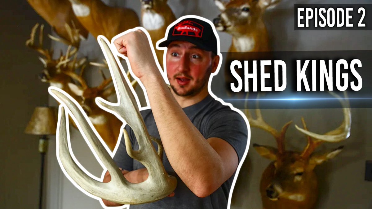 Last_Breath_TV's tweet photo. Newest episode of shed kings drops in 20 minutes! Here is the link to watch!
https://t.co/91XppLF836

Talking about some monster 8 points tonight! #shed #shedhunting #shedantler #shedseason https://t.co/6NyHP7tXRD
