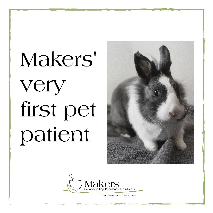 makerspharmacy's tweet photo. Did you know our very first patient was a bunny?! 🐰

Visit our website for more info on how we can help your furry friend today. https://t.co/huI9GDzFH2