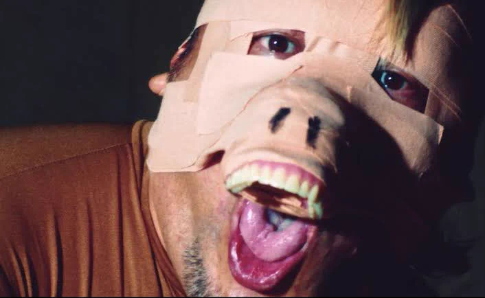 @sagirisagilee 野性爆弾くっきーかと思った 