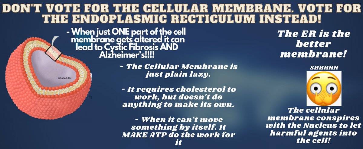 JoshuaOrmilon's tweet photo. Do you really want to vote for an organelle that will allow harmful agents into the cell?? @MsDSacco  #CellBioBrawl #wearebarrons #APBio https://t.co/j5m3XKqflG