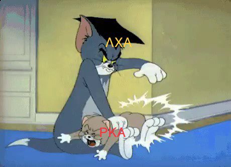 Lambda Chi Alpha-BG tweet media