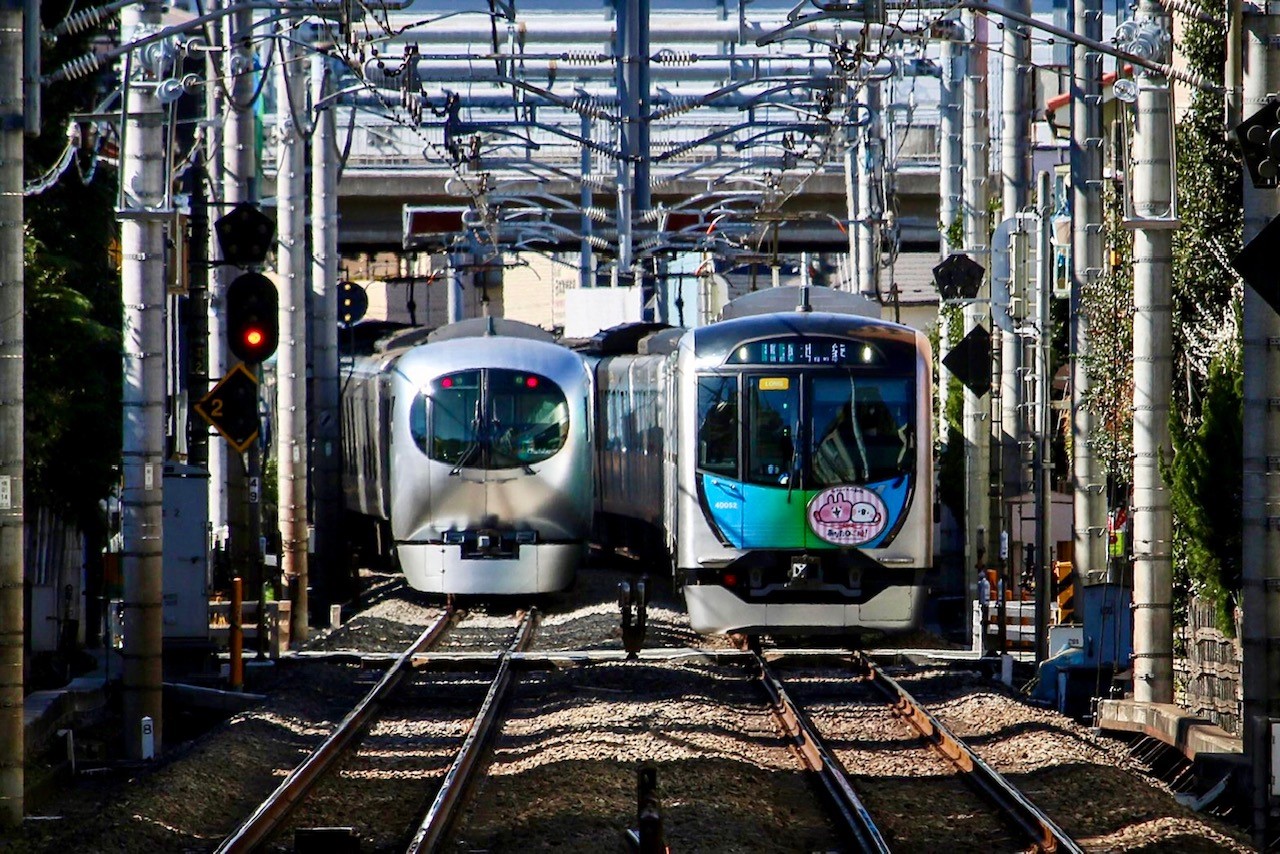 西武鉄道×カナヘイの小動物キャンペーン (@seibu_kanahei) / X