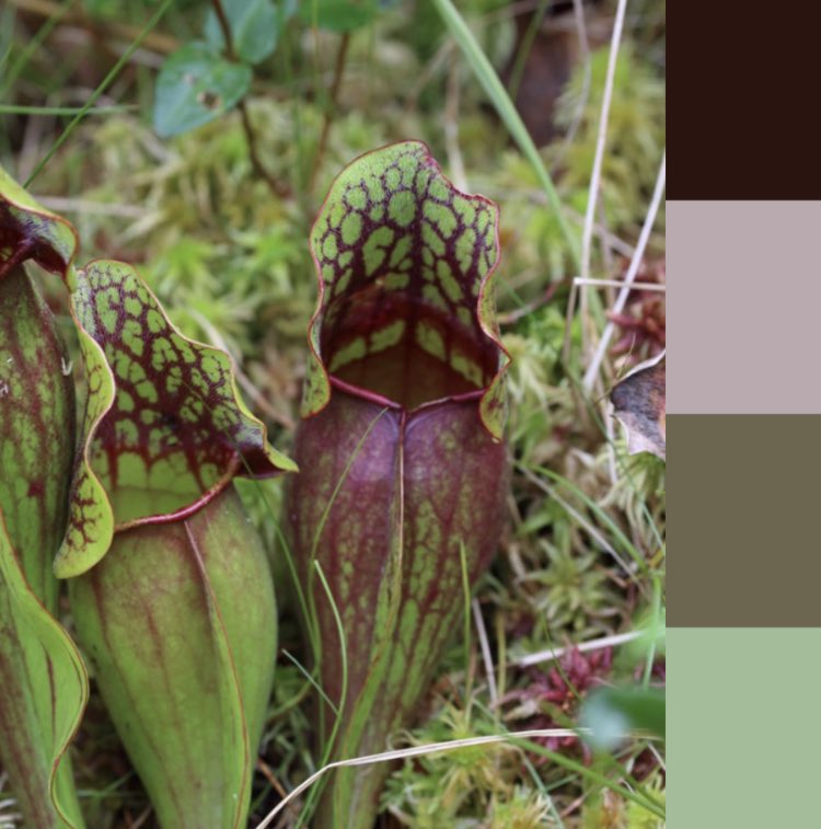 Dr. Rebecca Rooney tweet media