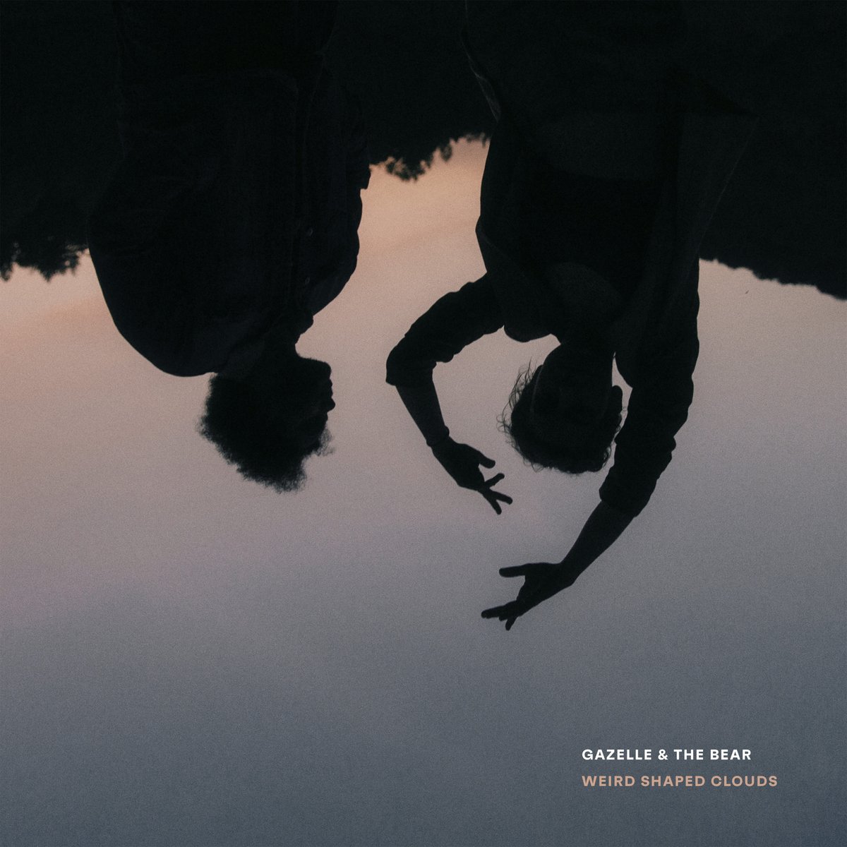 acid stag tweet media