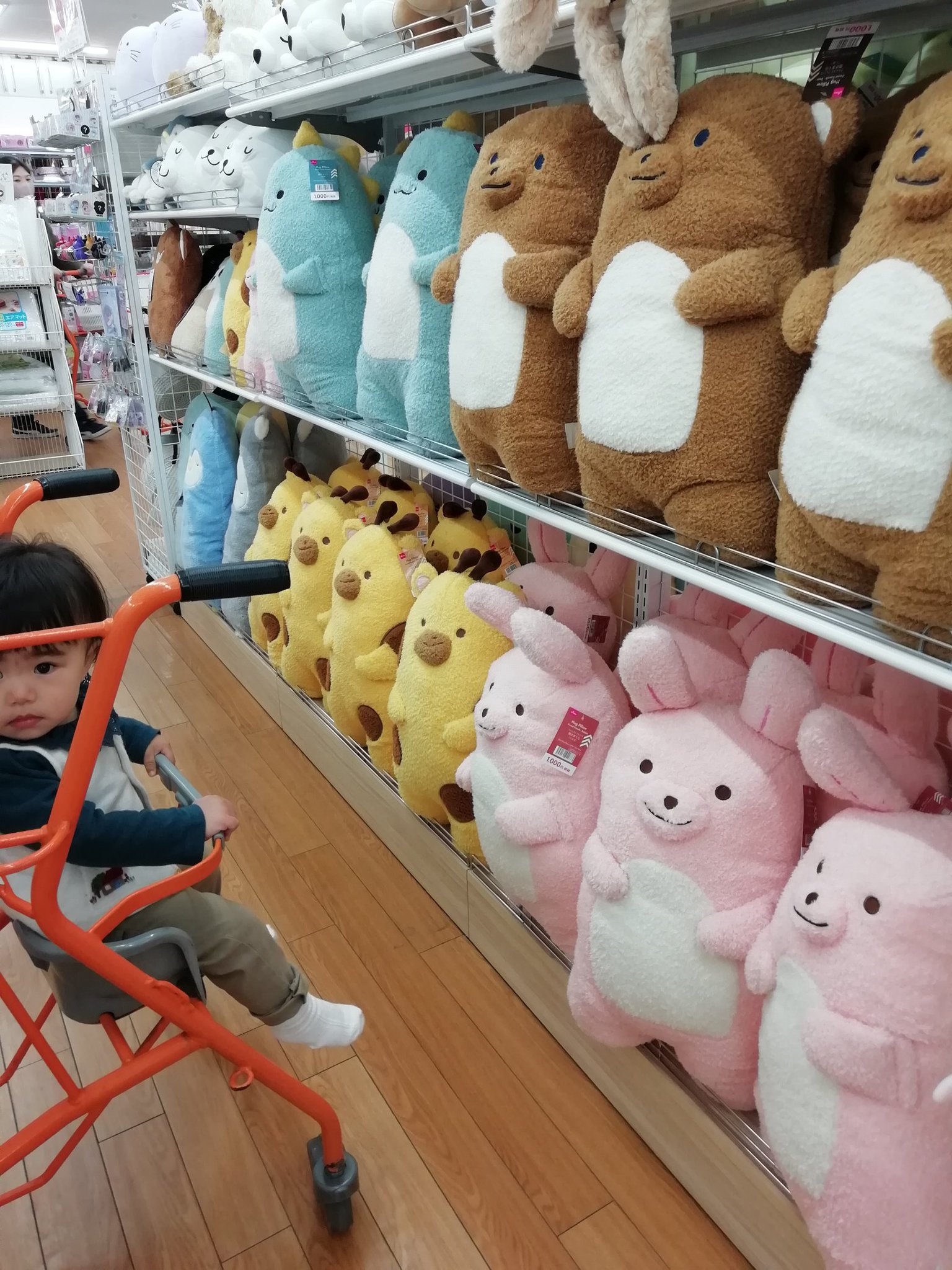 パト on X: 