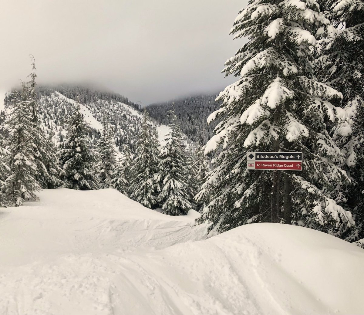 SentPackin's tweet photo. In the tracks of an Olympian...first time down #Bilodeau’s Moguls! ⛷ @Cypressmtn #skilocal #skiwellbewell https://t.co/hdI7dq41js