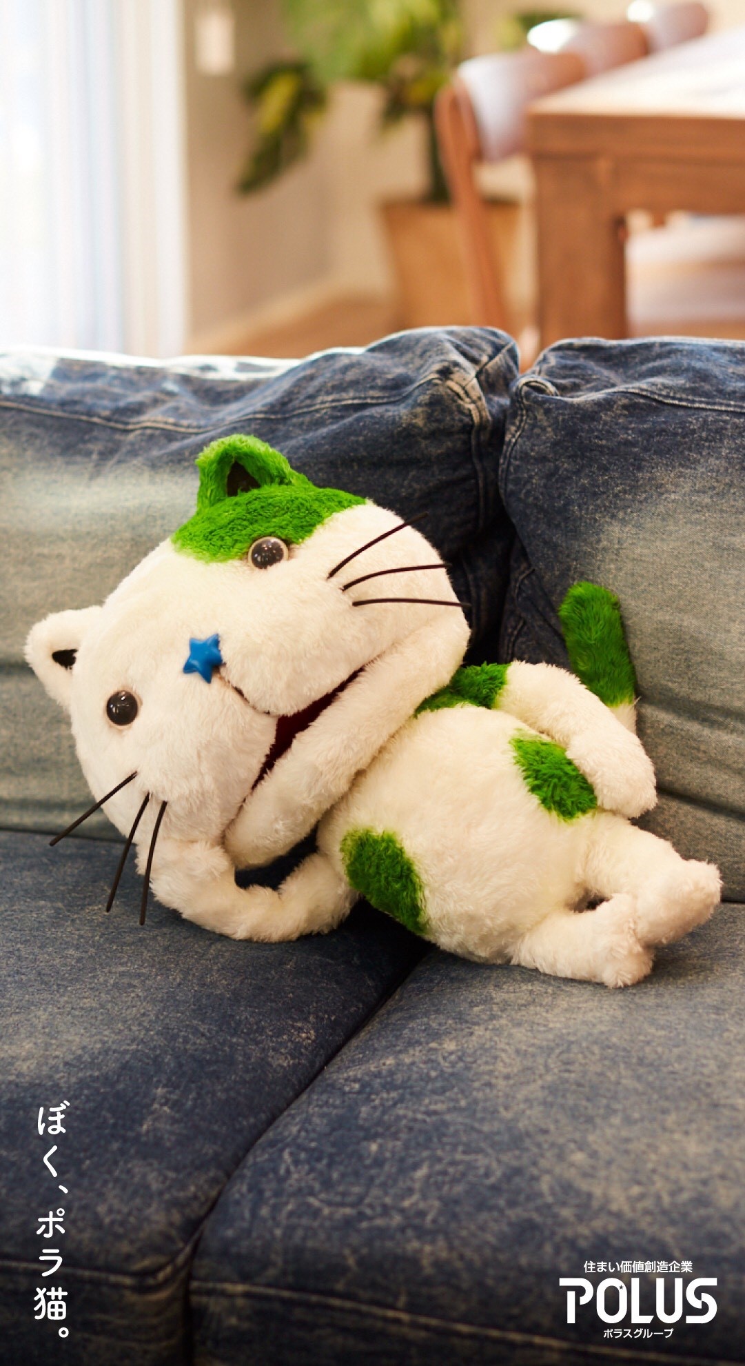 ポラ猫 ポラ猫