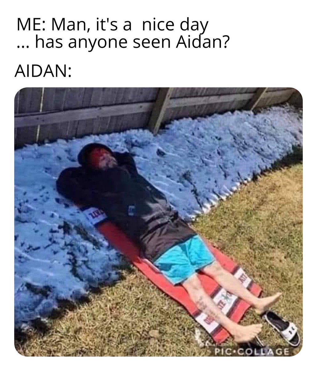 Aidan Pepitone tweet media