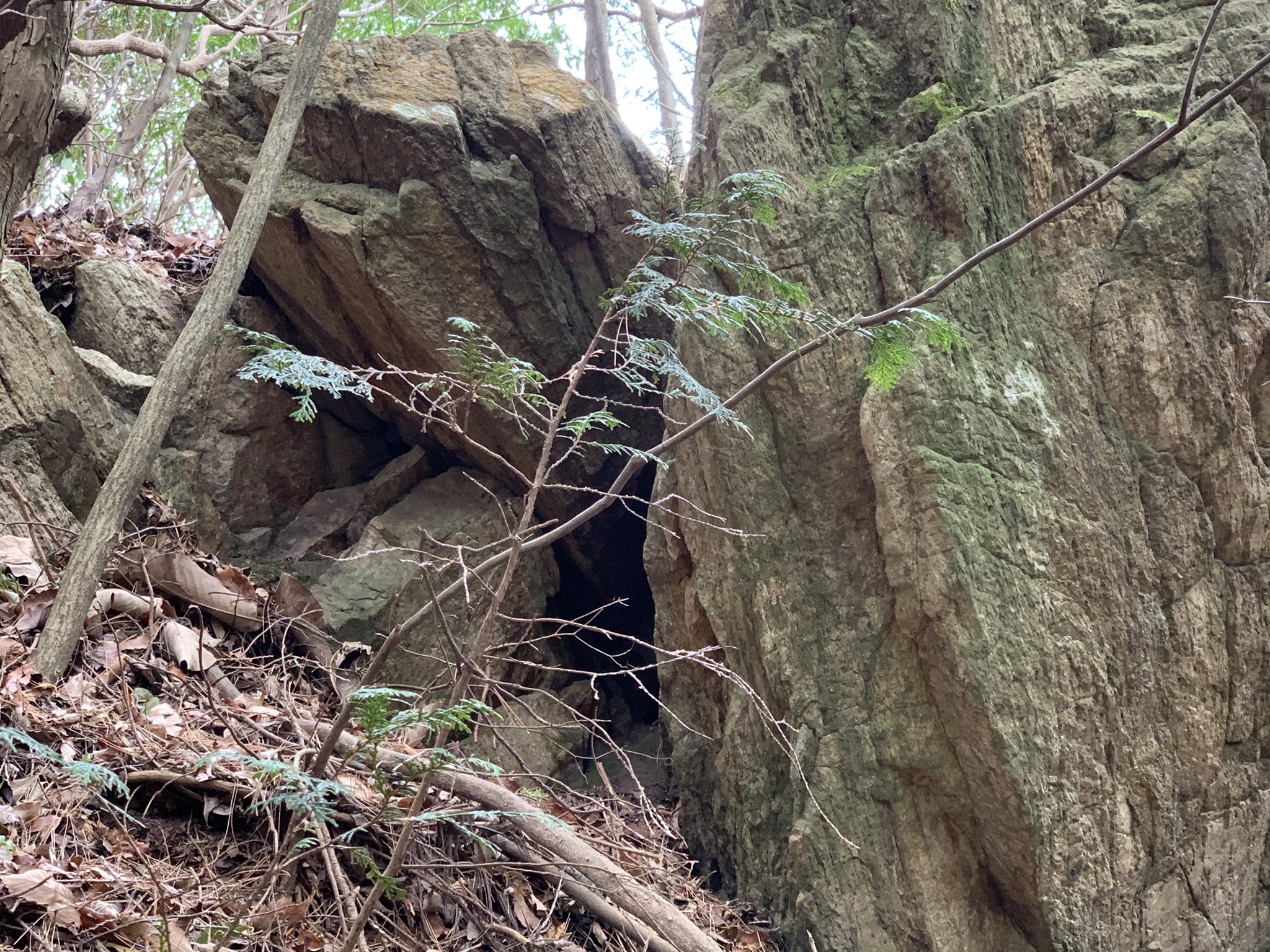 茅根抄希子 御岩神社 には 御岩山山頂に行くと 更なるパワースポットが存在していて 光の柱 赤い岩 天岩戸 の3つがあるのです でも残念ながら東日本の震災で 天岩戸へは行けなくなってしまったそうで たまたま朝の巡回をしていたボランティアの