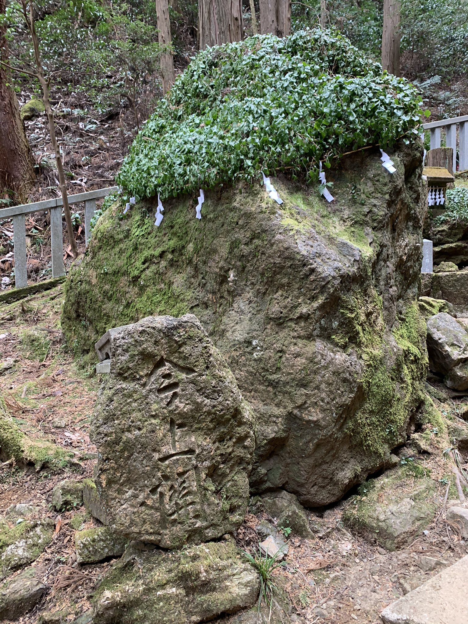 茅根抄希子 御岩神社 には 御岩山山頂に行くと 更なるパワースポットが存在していて 光の柱 赤い岩 天岩戸 の3つがあるのです でも残念ながら東日本の震災で 天岩戸へは行けなくなってしまったそうで たまたま朝の巡回をしていたボランティアの