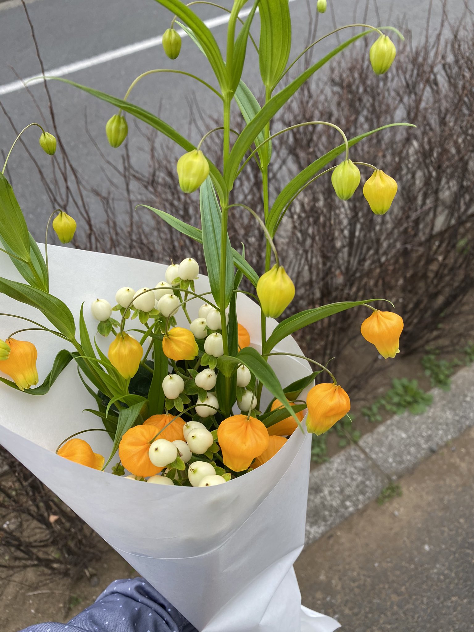 松崎啓子 サンダーソニアとヒペリカム 今週のお花 サンダーソニア 初めて買った 花言葉は 望郷 祈り だって T Co 4ubhuq2yom Twitter